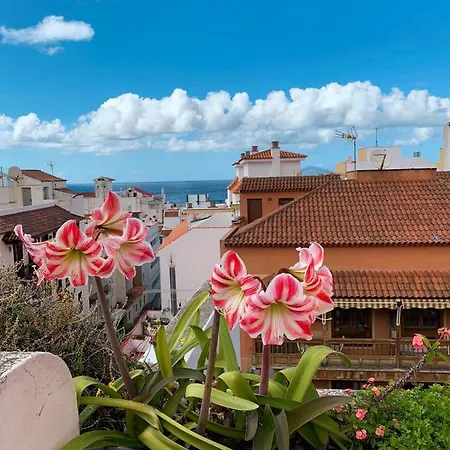 Iriarte52 Apartmán *